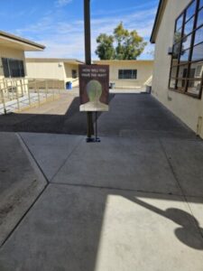 culture (10) (Small)