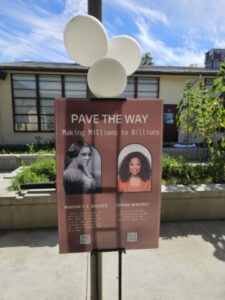 culture (12) (Small)